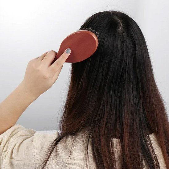 Brosse poil de sanglier | NaturBrillance