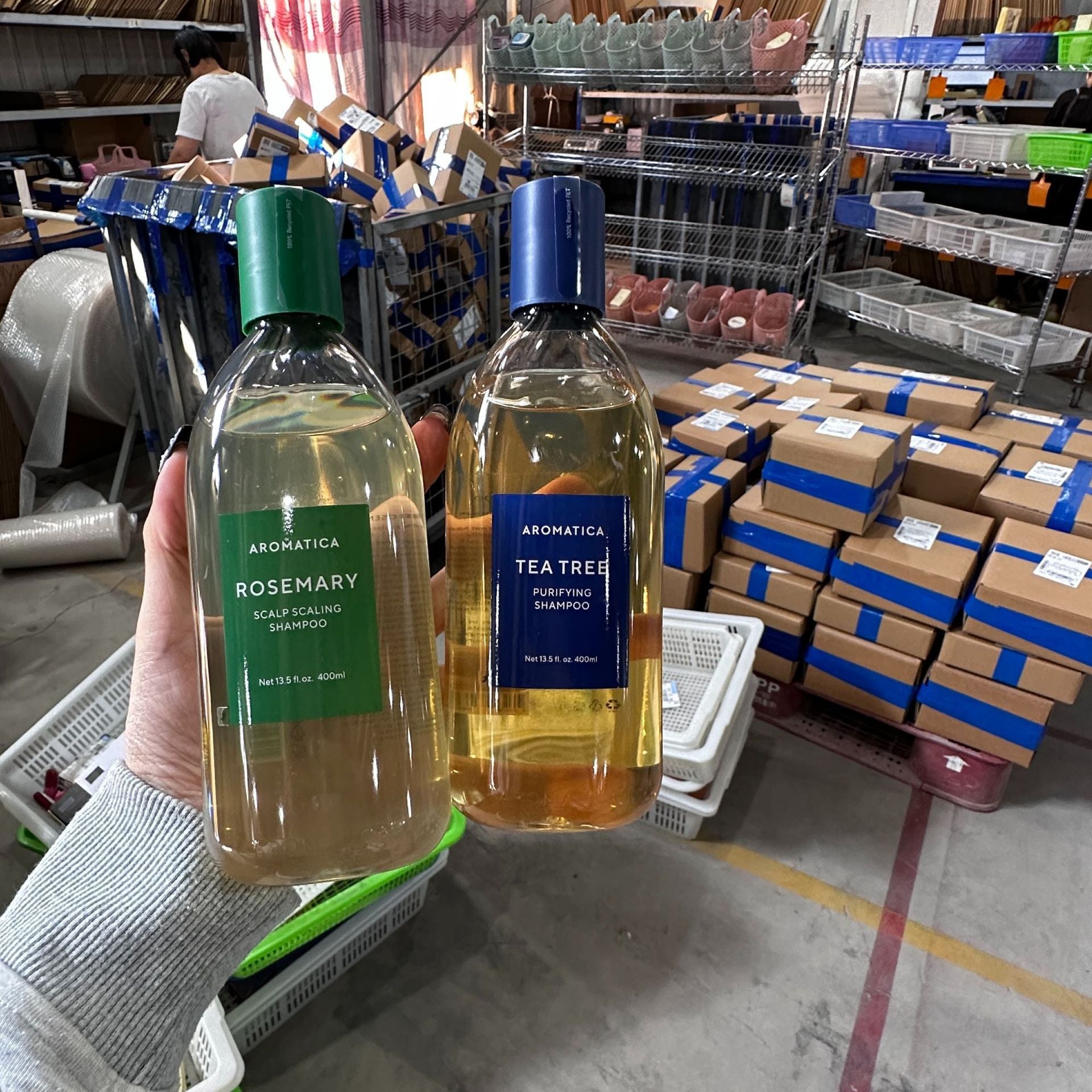 Gamme Romarin & Tea Tree – Shampooing Anti - Chute & Purifiant | Rosemary & Tea Tree Hair Care - Beshariel Beauty